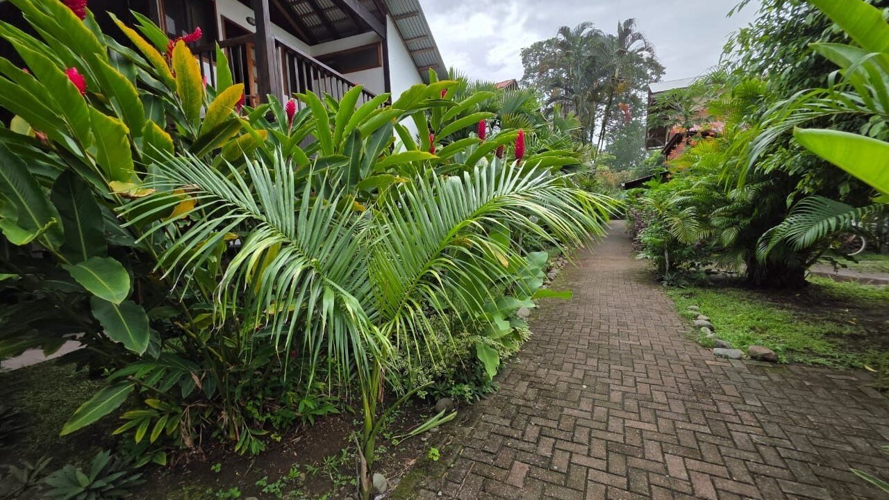 Photo of Outdoor in Puerto Viejo de Talamanca