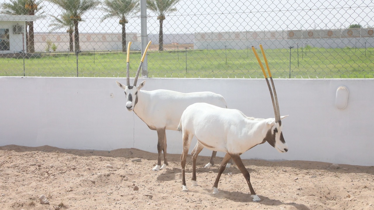 Photo of Outdoor in Bidiya