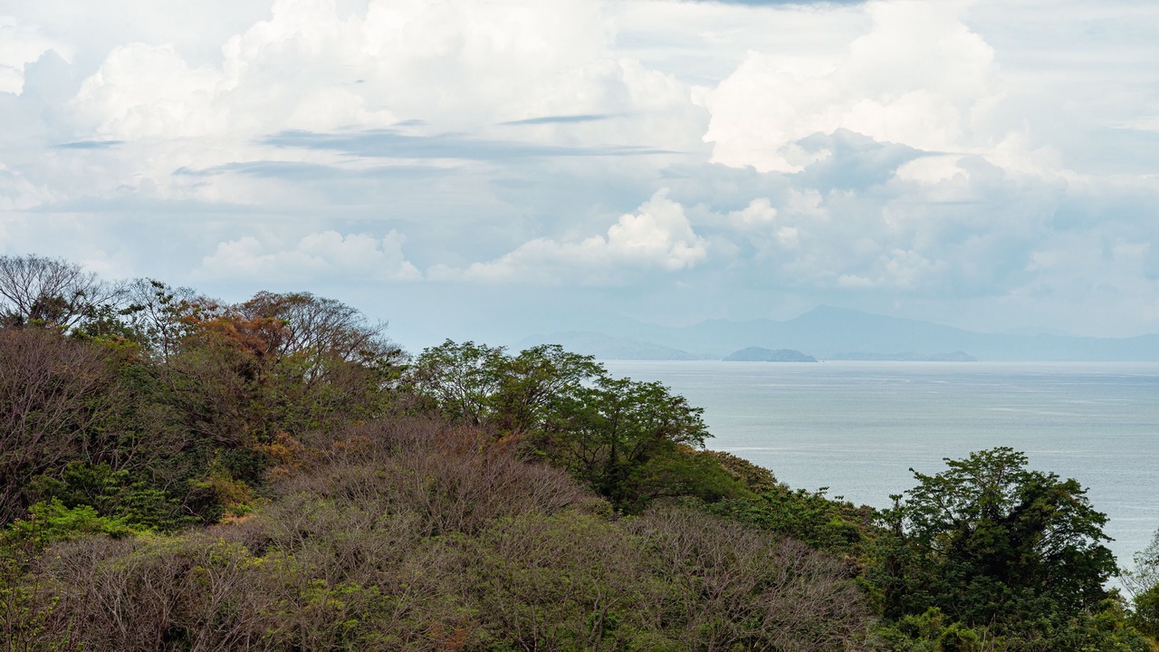 Photo of Outdoor in Tarcoles