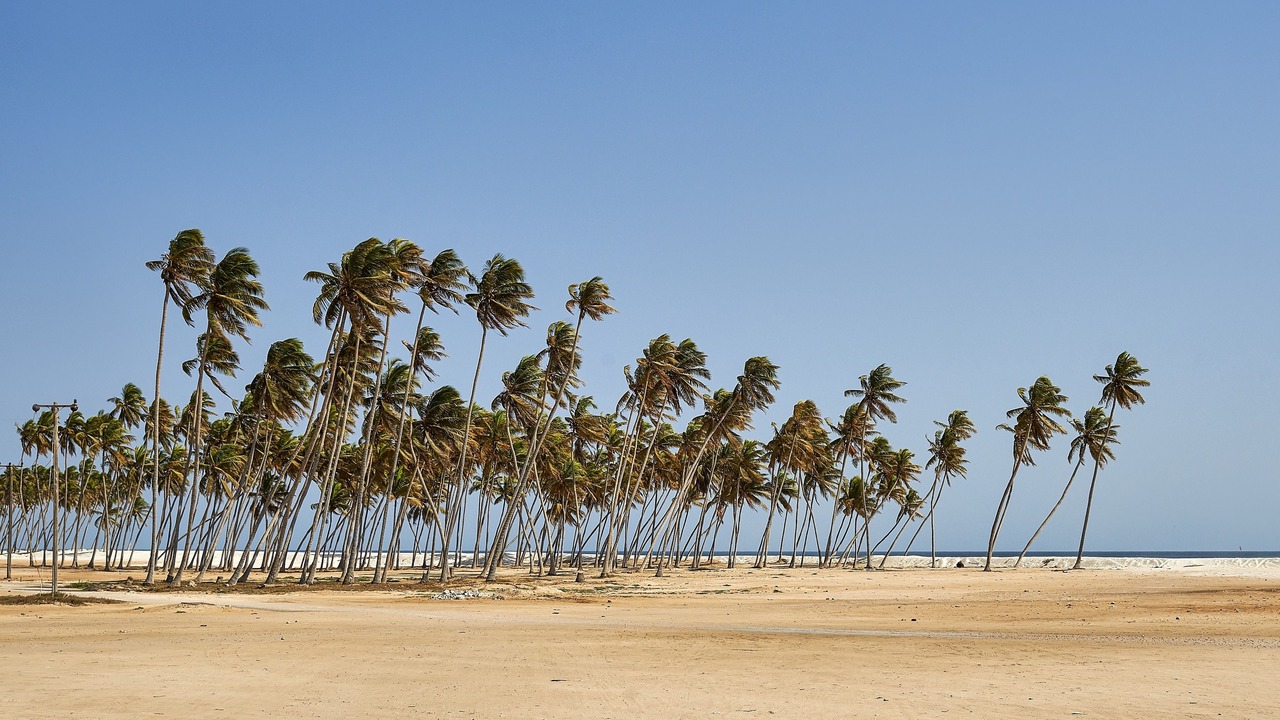 Photo of Outdoor in Salalah