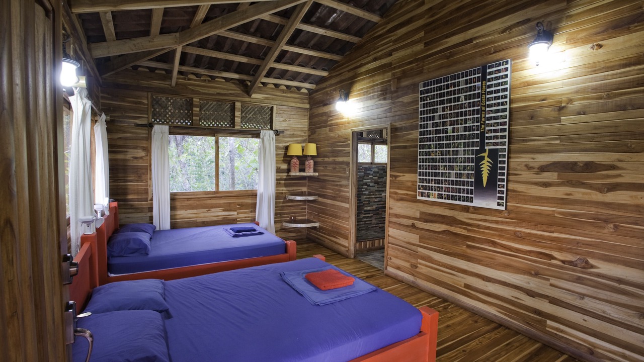 Photo of Bedroom in Carara