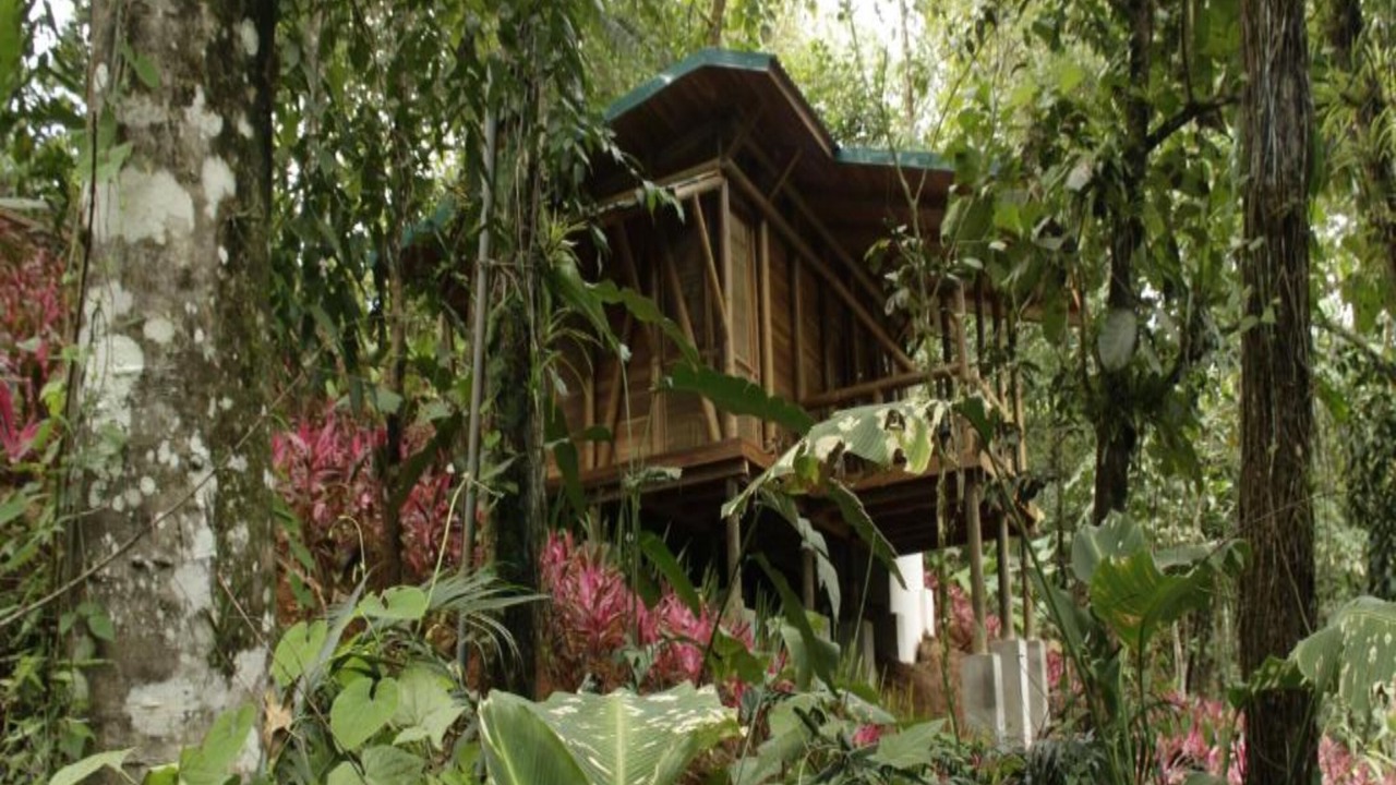 Photo of Outdoor in Carara