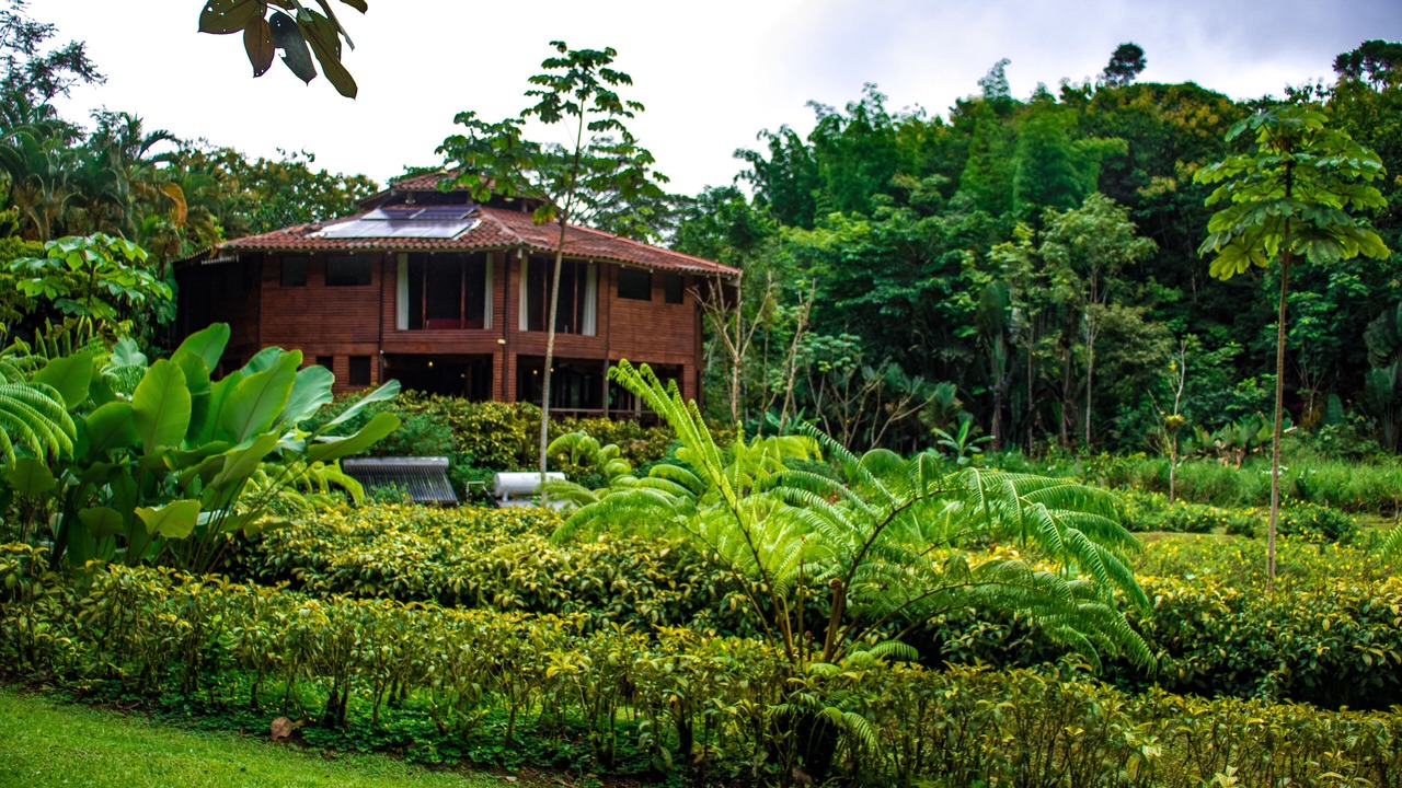 Photo of Patio Balcony in Carara