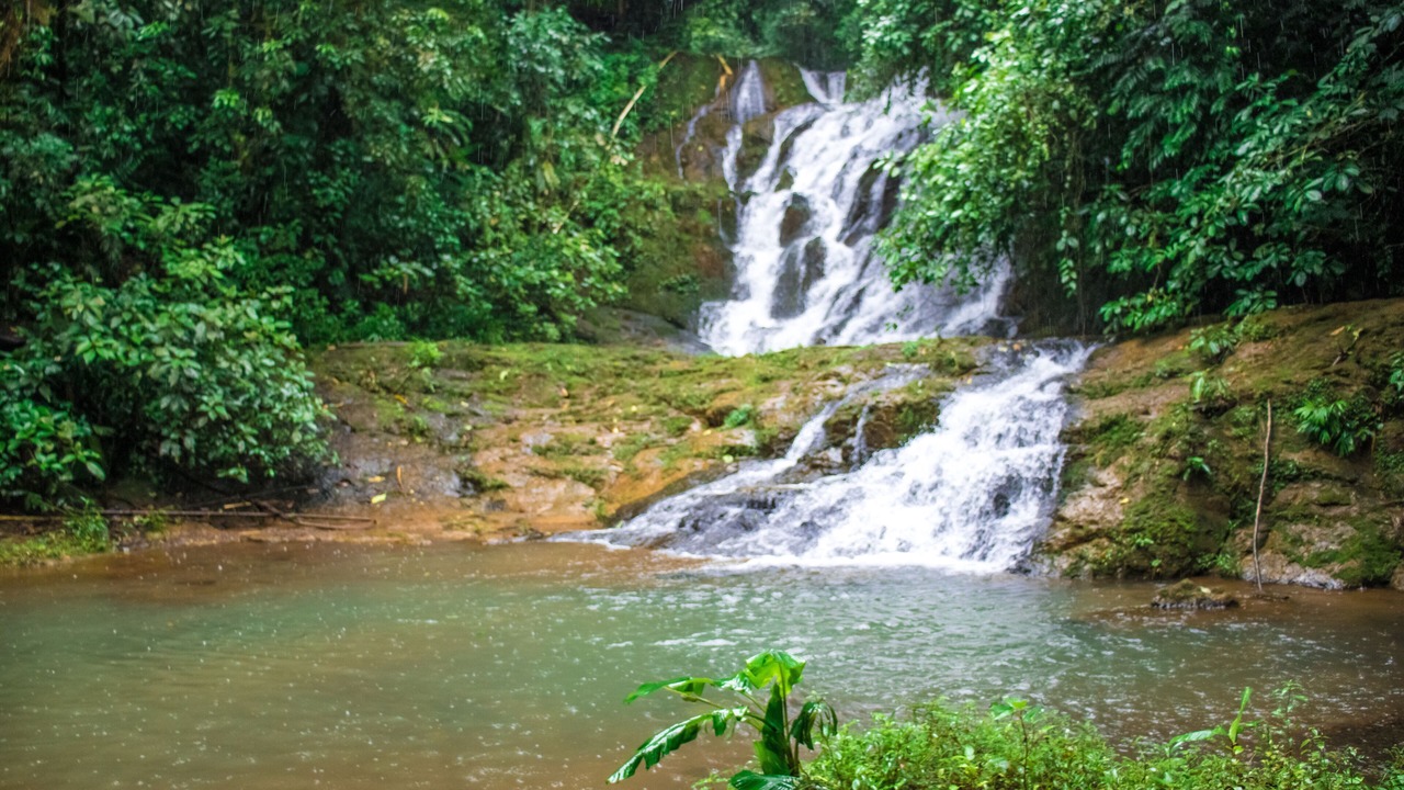 Photo of Outdoor in Carara
