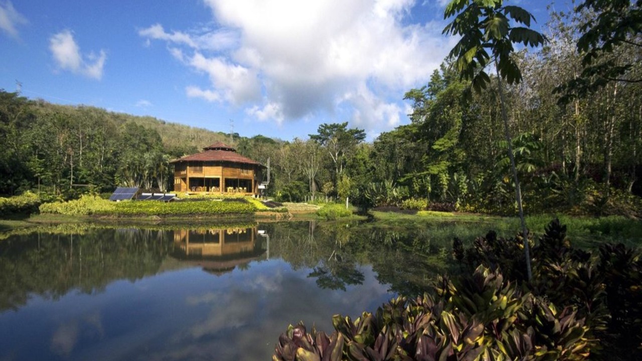 Photo of Outdoor in Carara