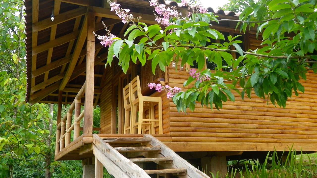Photo of Bedroom in Carara