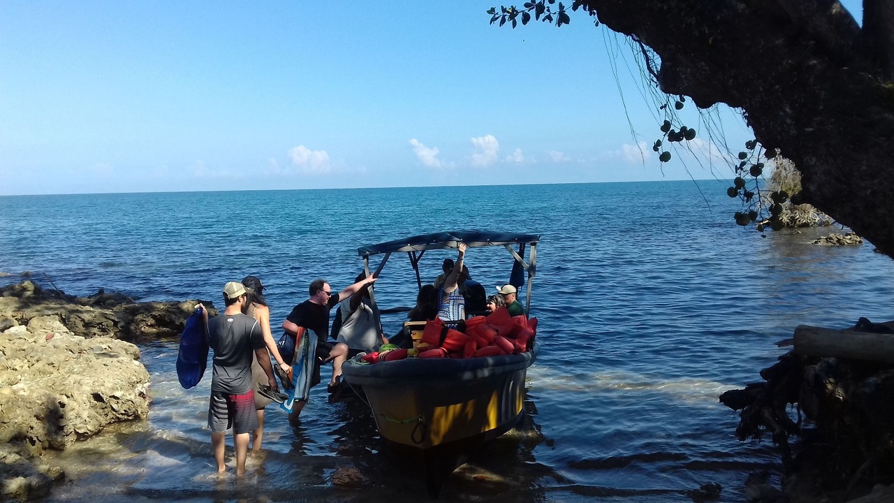 Photo of Others in Cahuita
