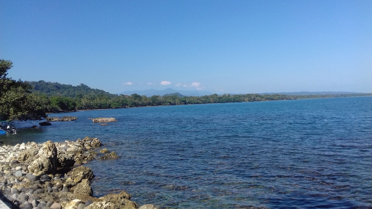 Photo of Others in Cahuita
