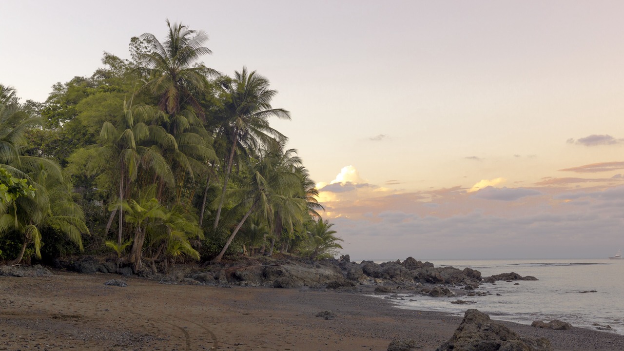 Photo of Others in Drake Bay
