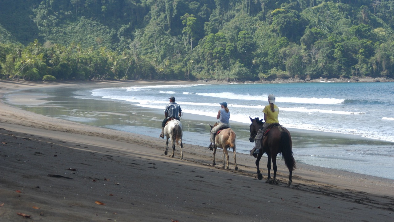 Photo of Others in Drake Bay