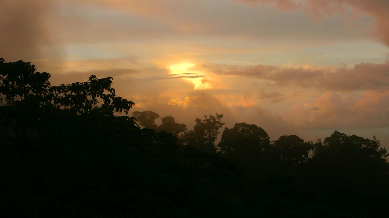 Photo of Outdoor in Drake Bay