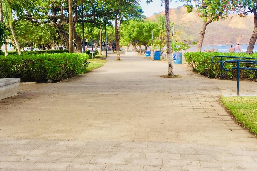 Photo of Outdoor in Coco