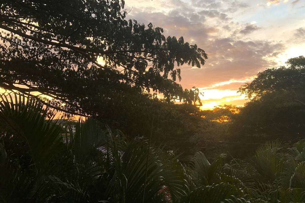 Photo of Outdoor in Coco