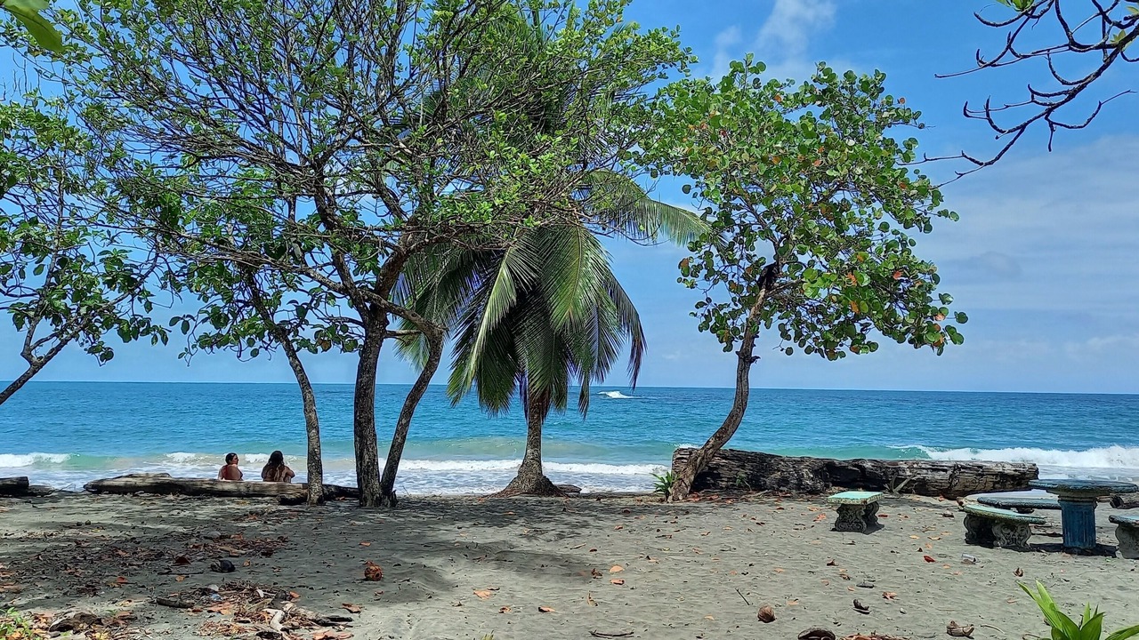 Photo of Others in Manzanillo