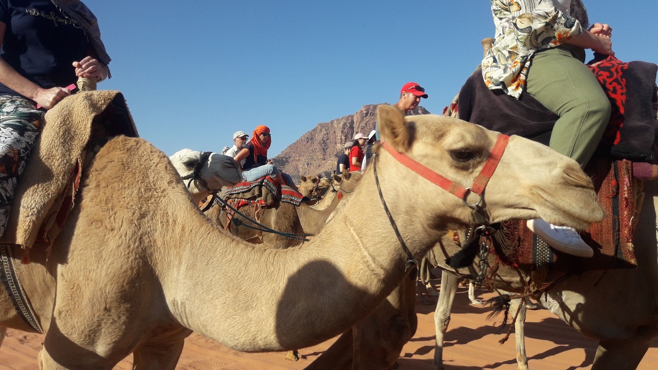 Photo of Others in Wadi Rum