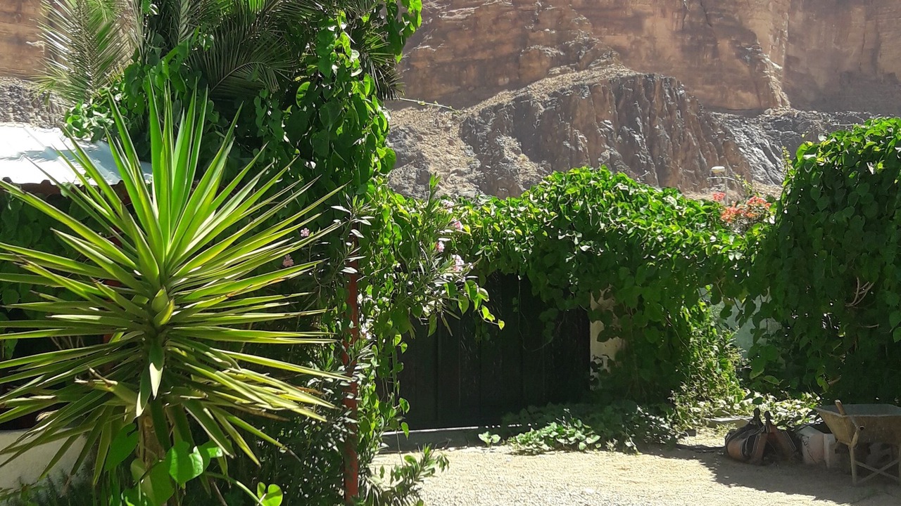 Photo of Outdoor in Wadi Rum