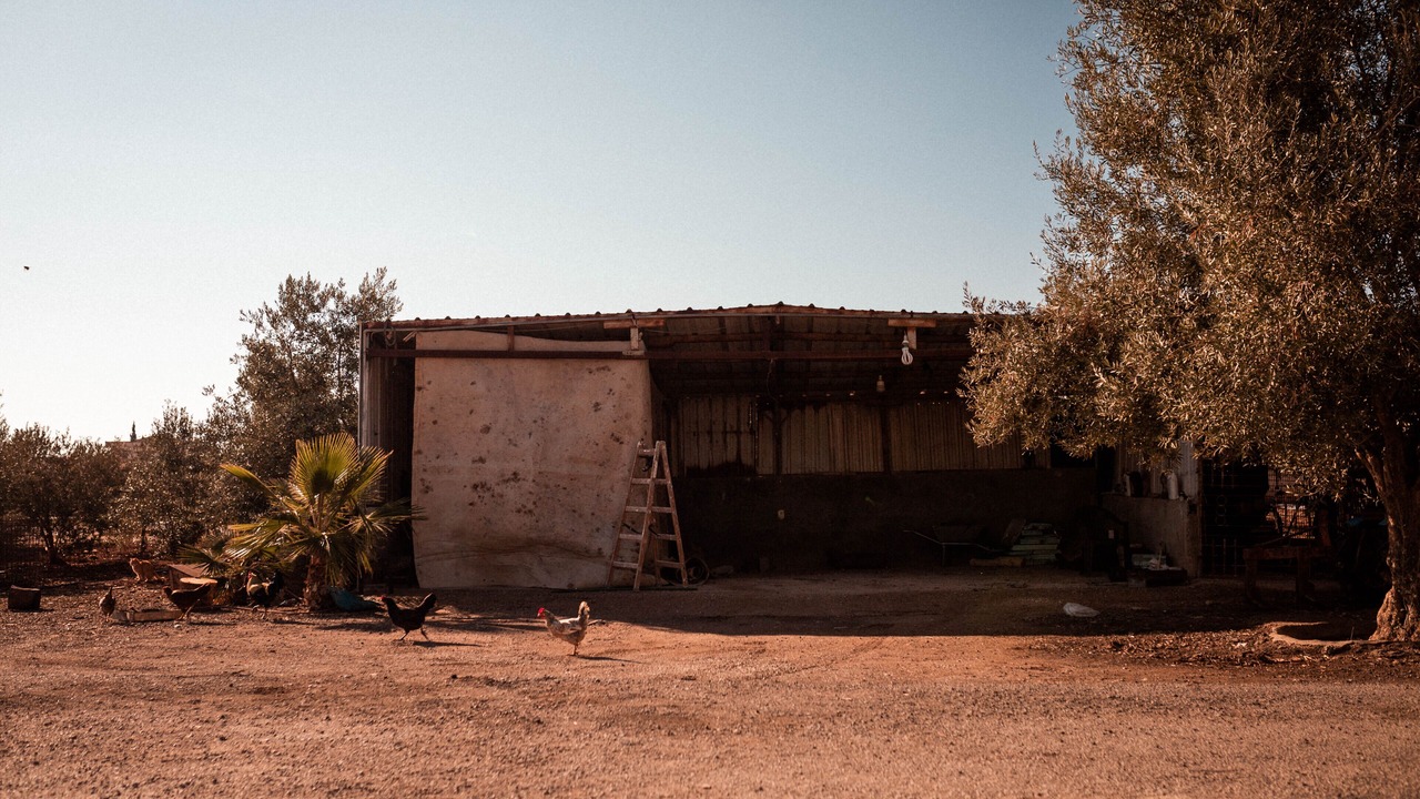 Photo of Outdoor in Karak Governorate