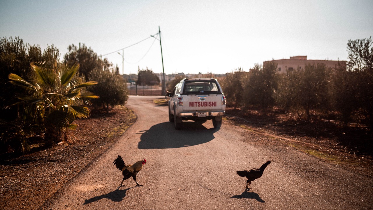 Photo of Others in Karak Governorate