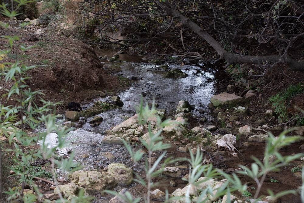 Photo of Outdoor in Parod