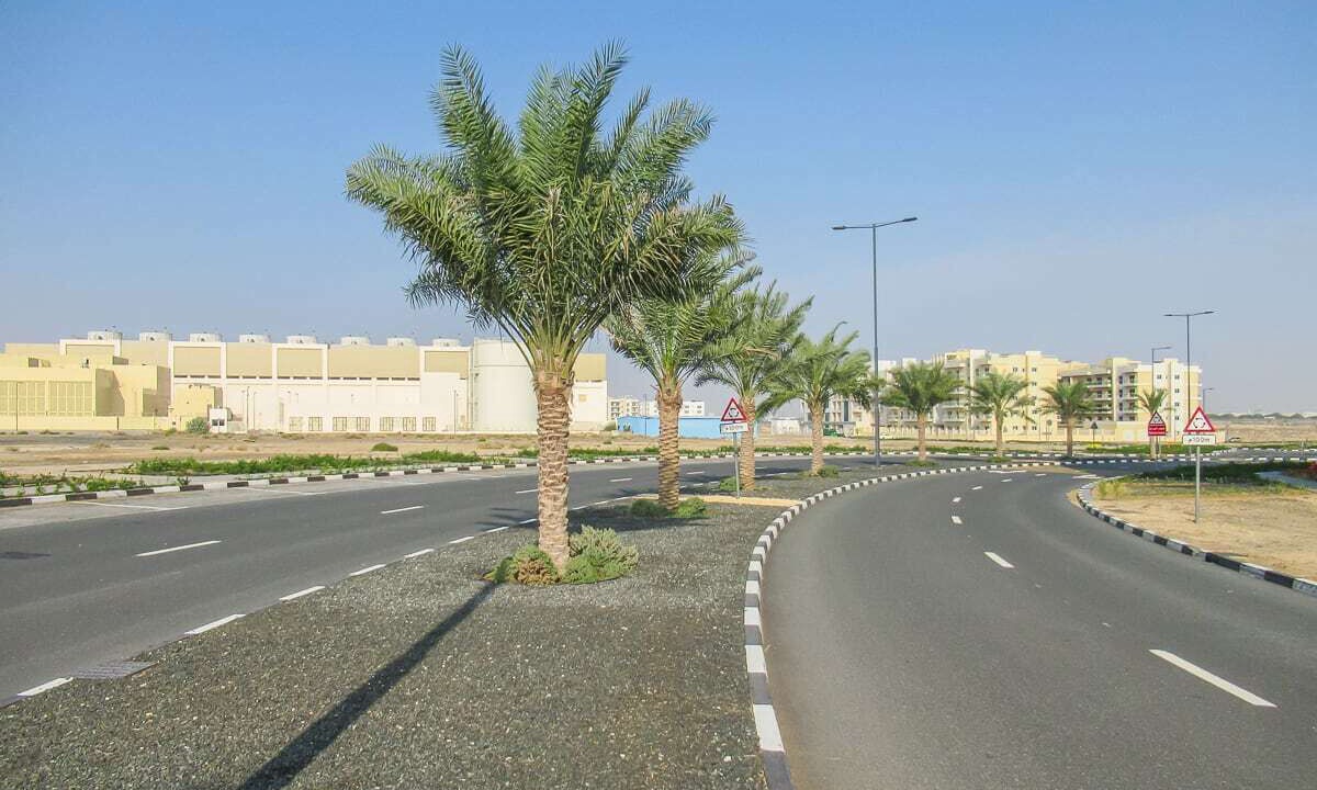 Photo of Others in Dubai