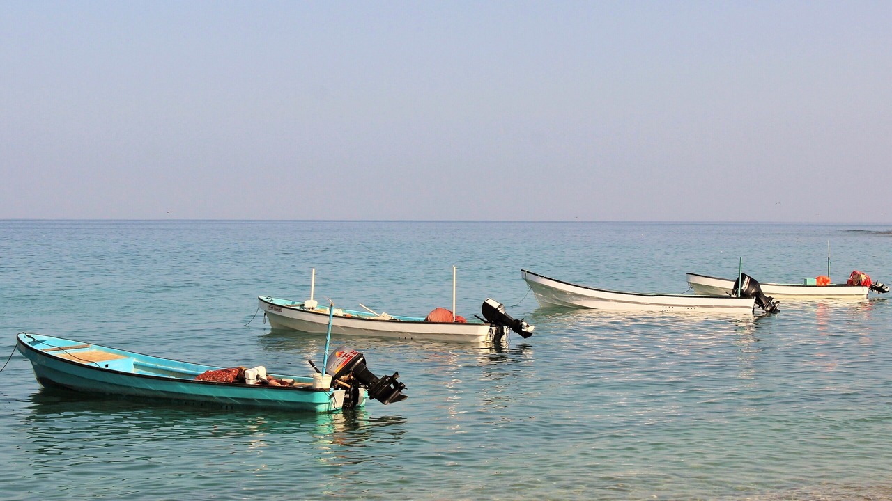 Photo of Others in Tiwi