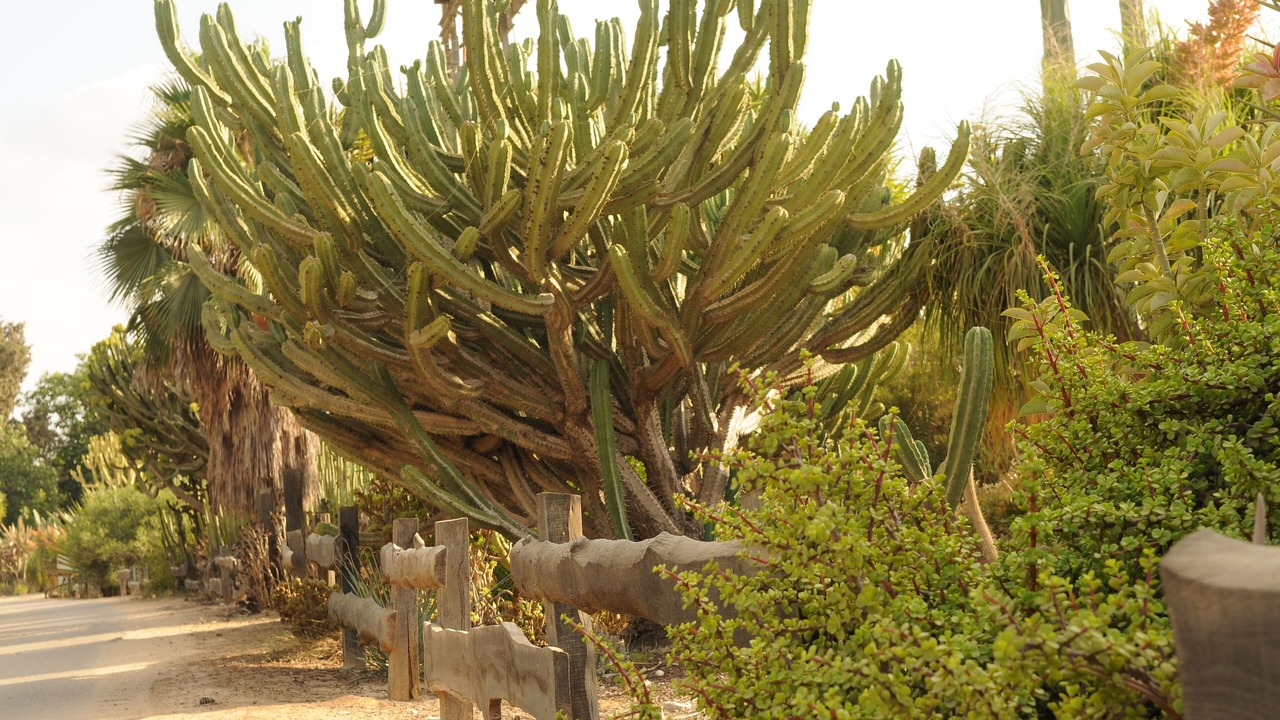 Photo of Outdoor in Eshkol