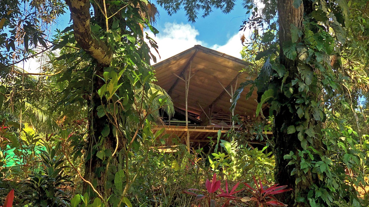 Photo of Outdoor in Ballena