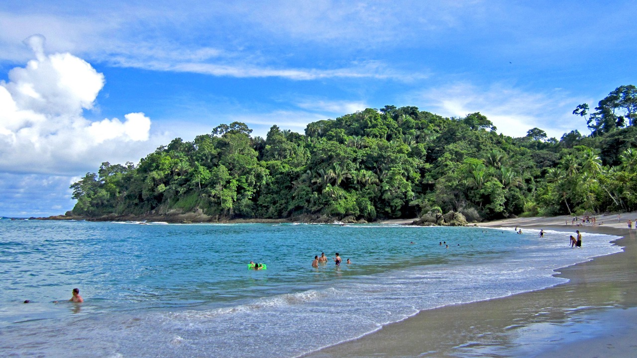 Photo of Others in Ballena