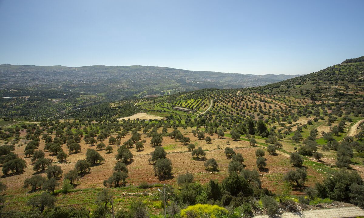 Photo of Outdoor in Ajloun