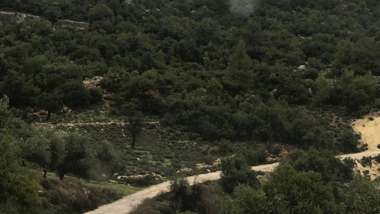 Photo of Outdoor in Ajloun