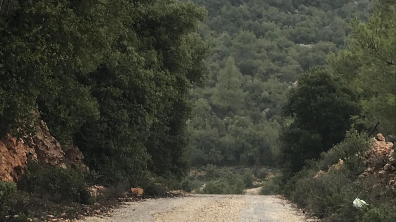 Photo of Outdoor in Ajloun