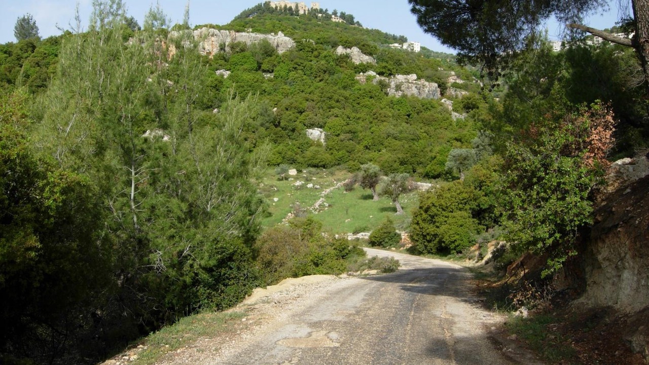 Photo of Outdoor in Ajloun