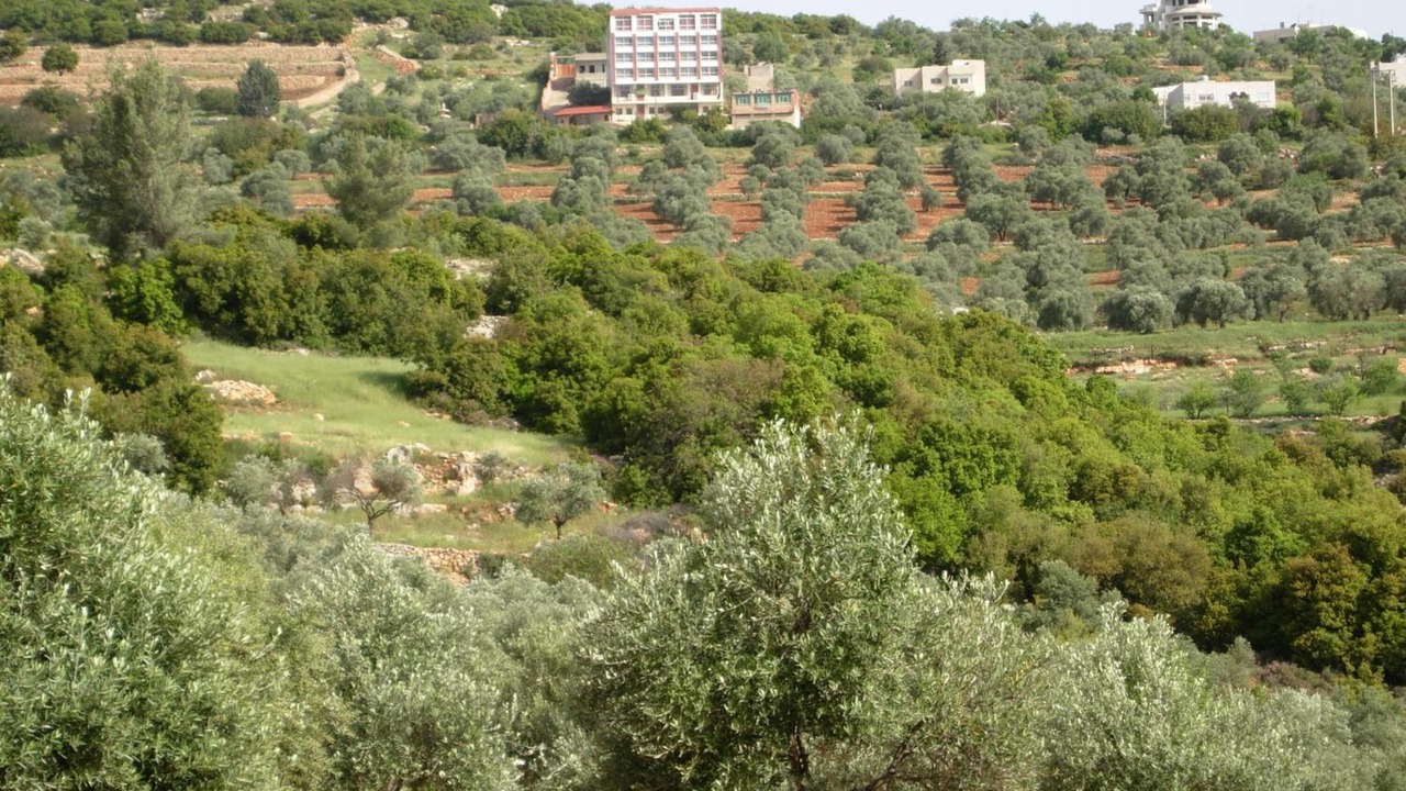 Photo of Outdoor in Ajloun