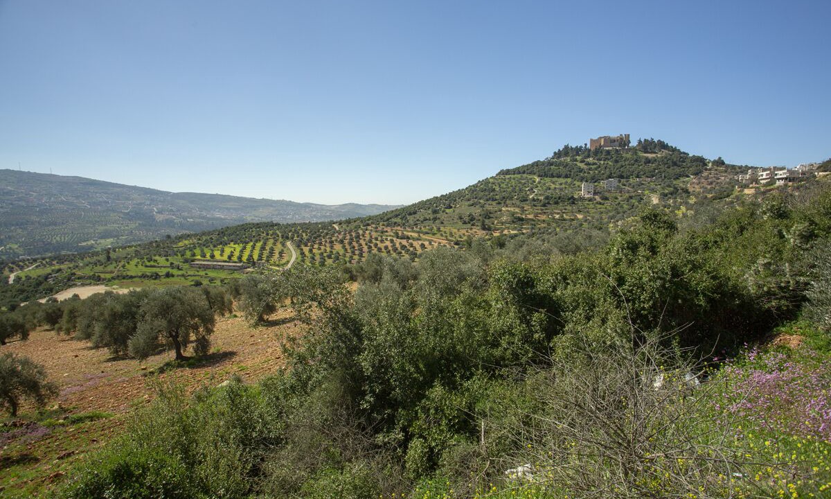 Photo of Outdoor in Ajloun