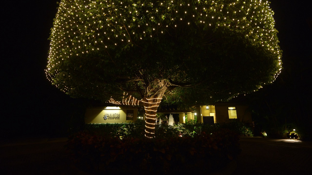 Photo of Outdoor in Herradura