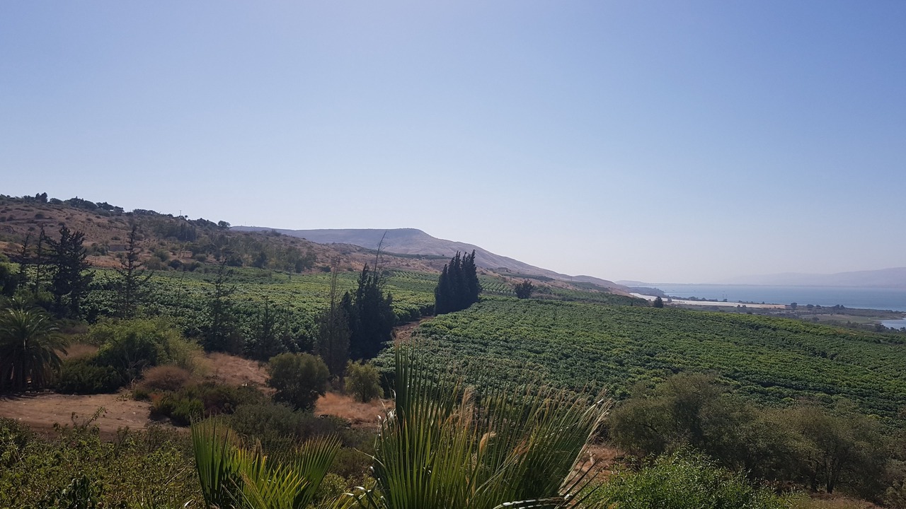 Photo of Others in Ramot