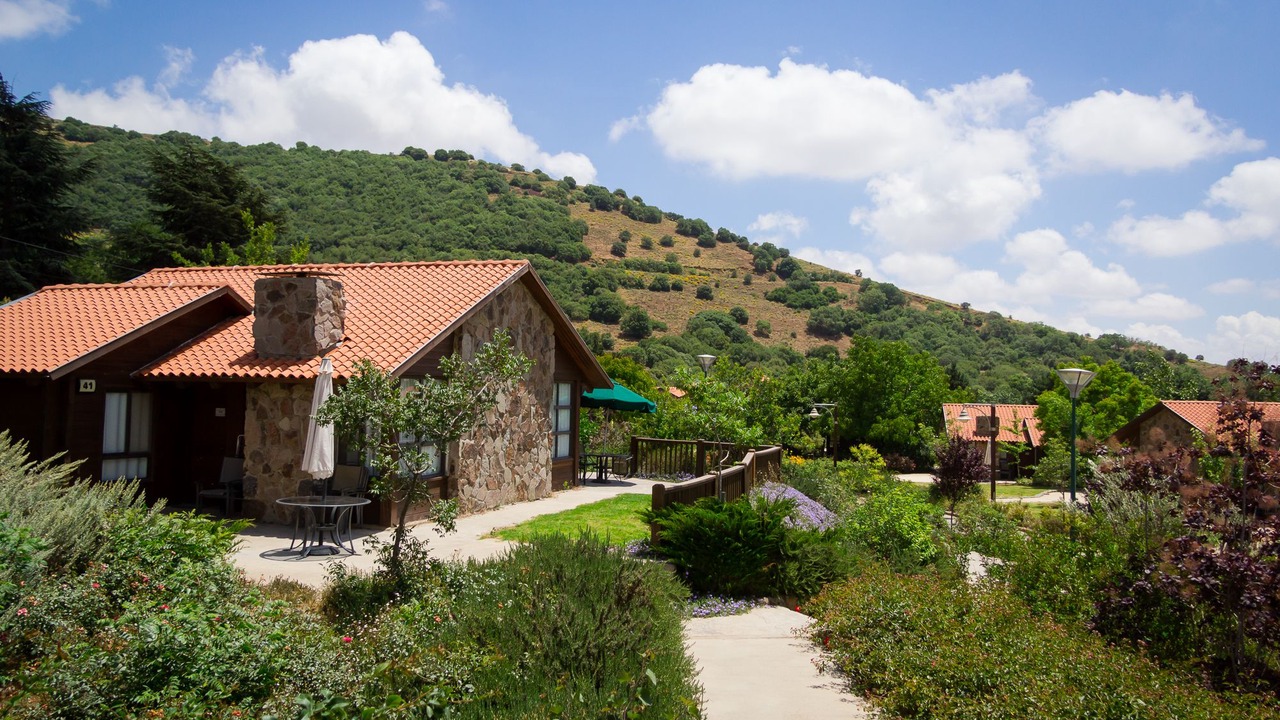 Photo of Outdoor in Merom Golan
