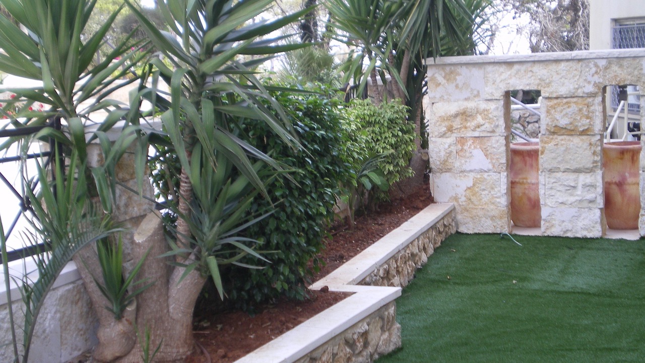Photo of Outdoor in Haifa