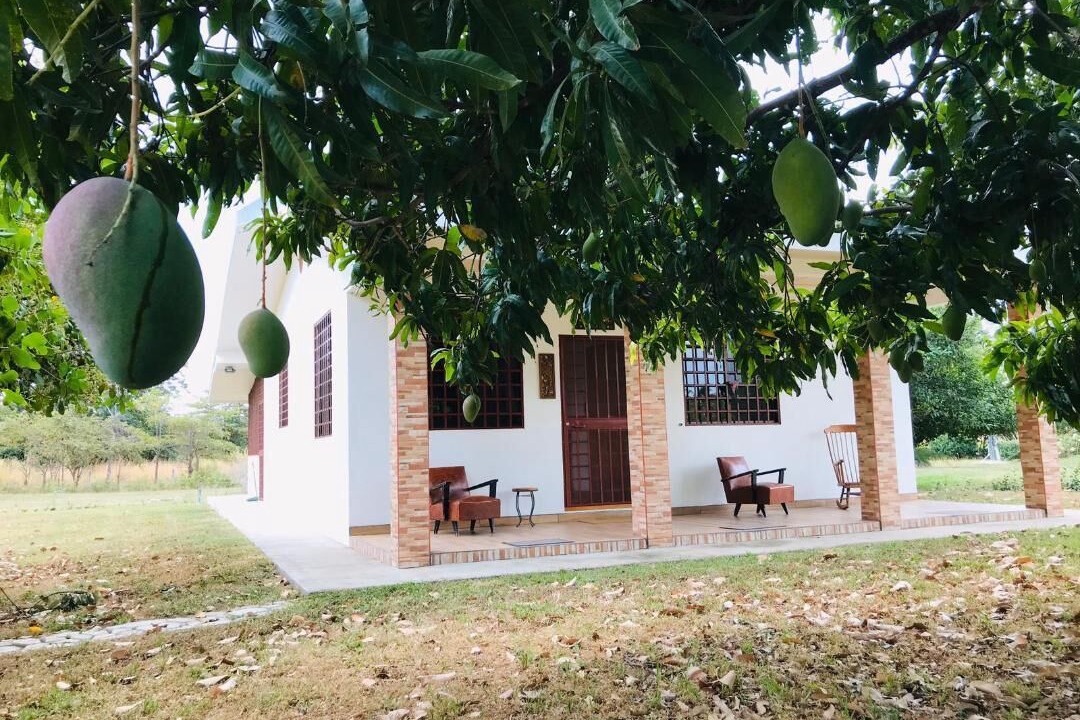 Photo of Outdoor in Liberia