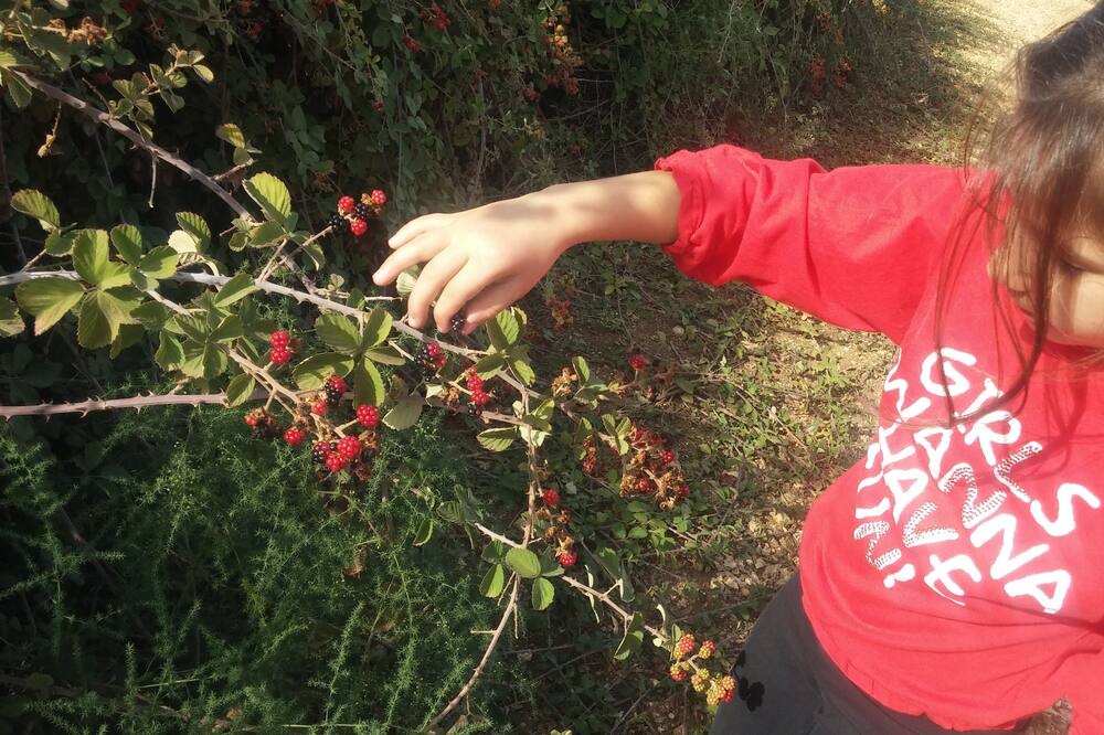 Photo of Outdoor in She'ar Yashuv