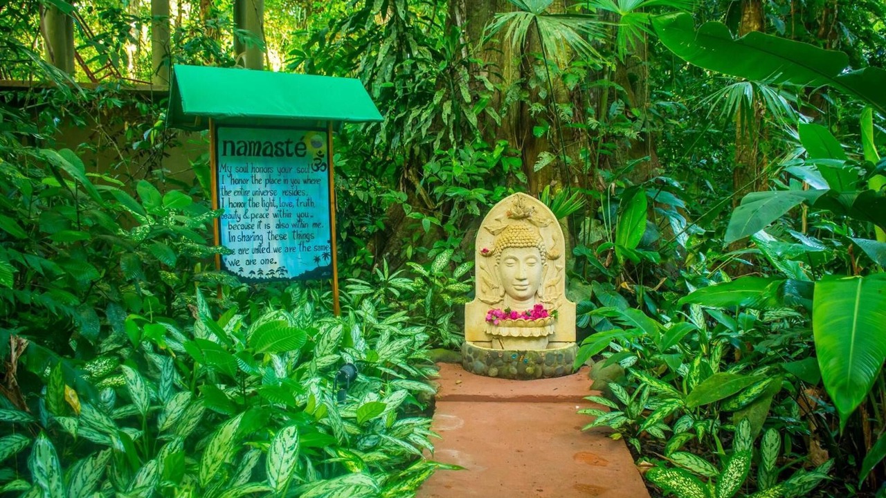 Photo of Outdoor in Cahuita