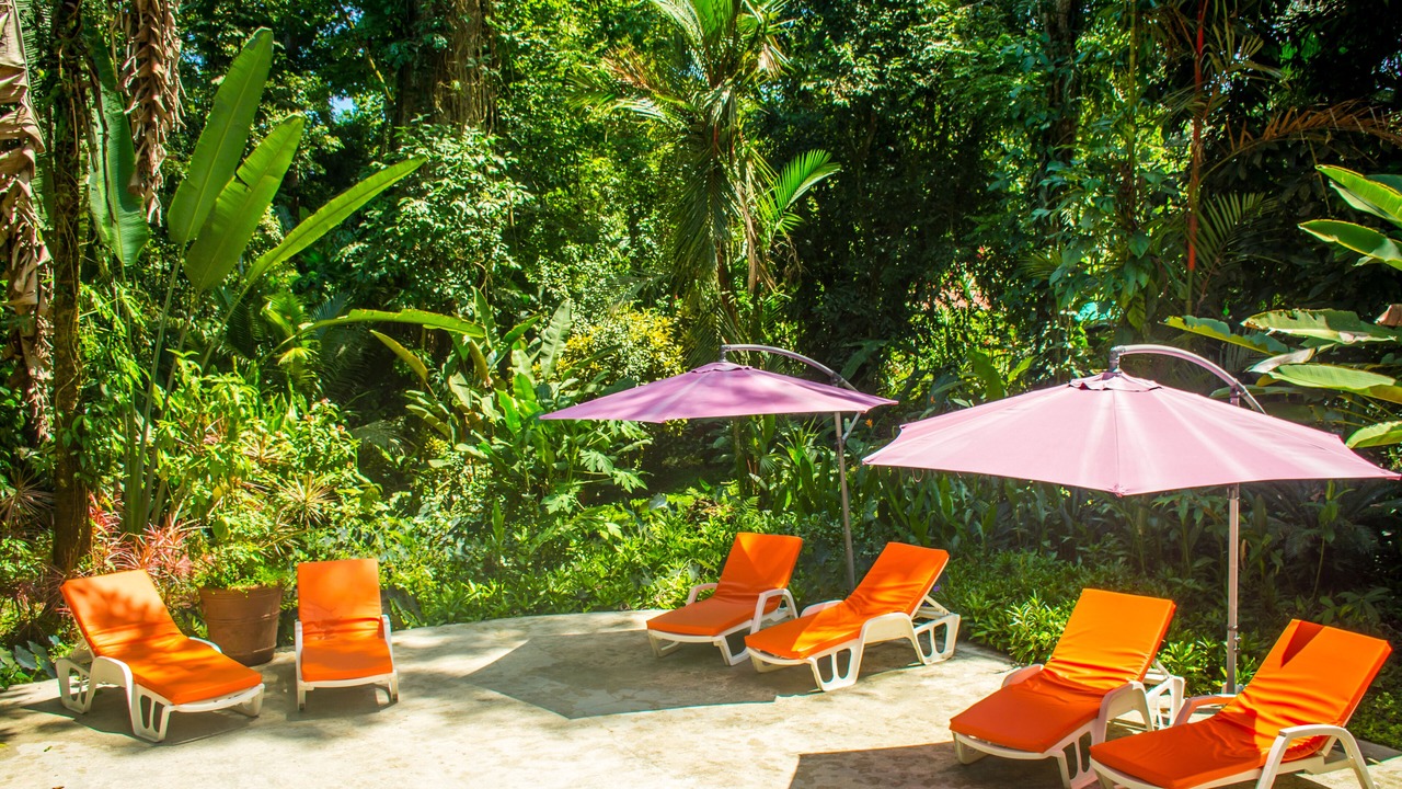 Photo of Outdoor in Cahuita