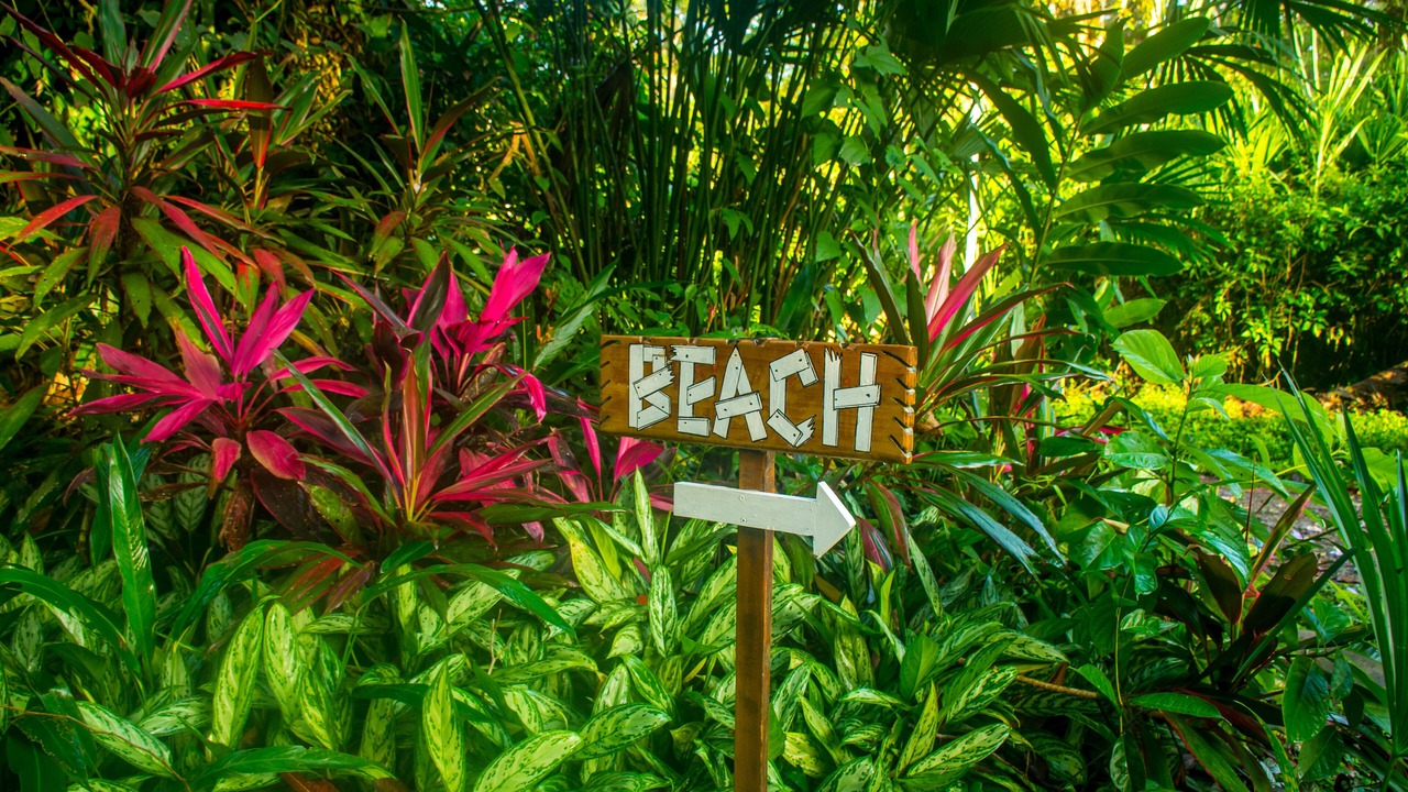 Photo of Outdoor in Cahuita
