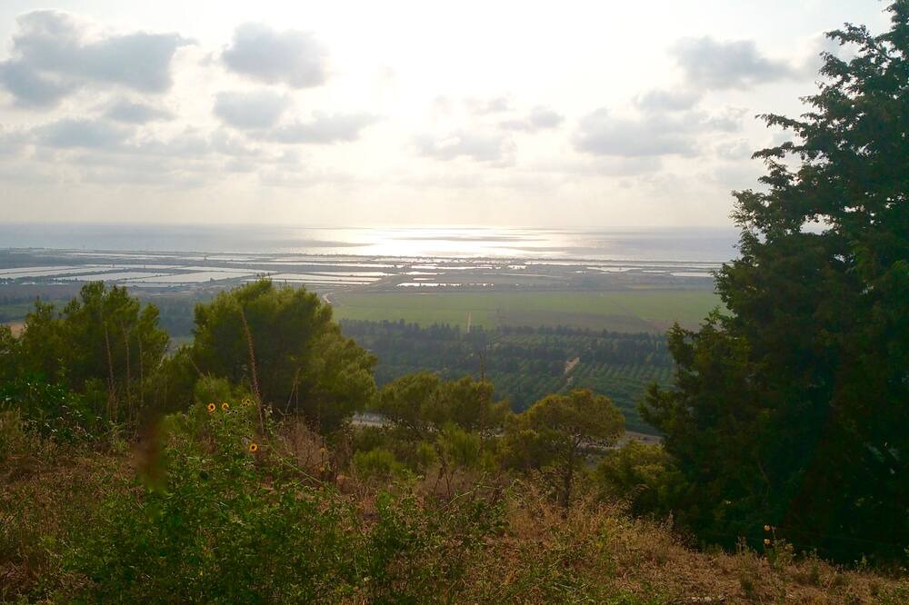 Photo of Others in Zikhron Ya'aqov