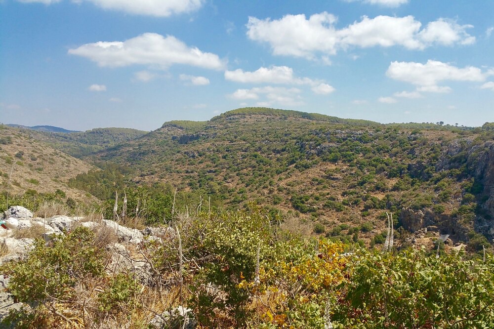 Photo of Others in Zikhron Ya'aqov