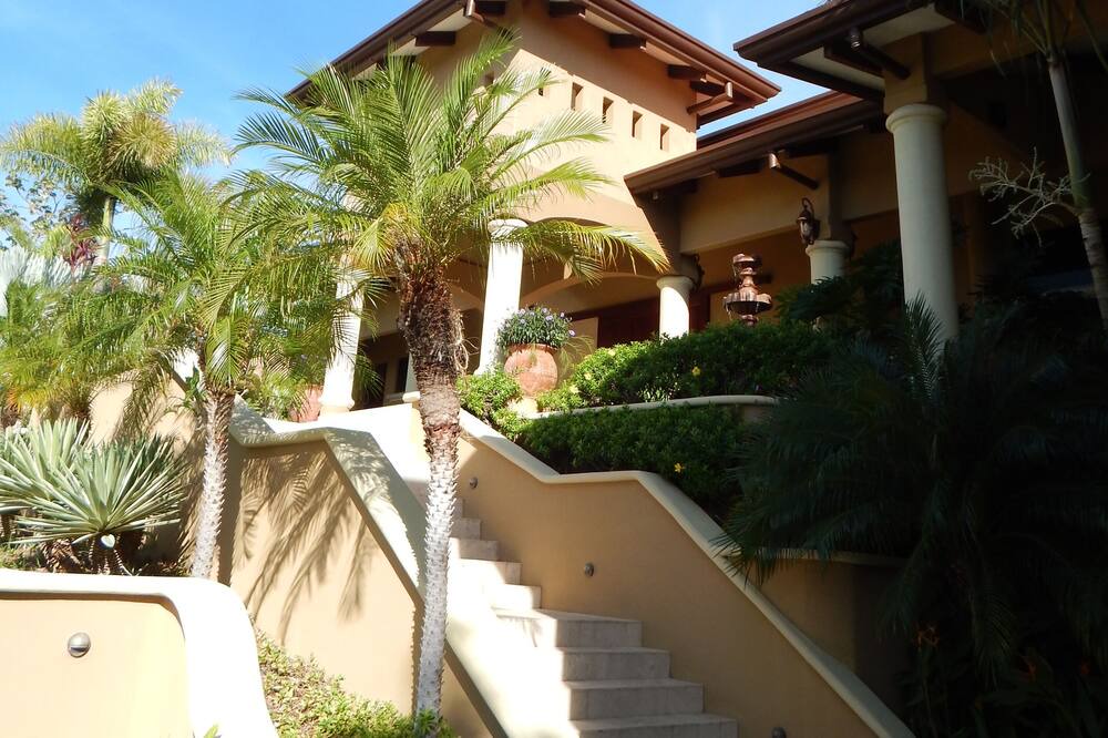 Photo of Outdoor in Coco