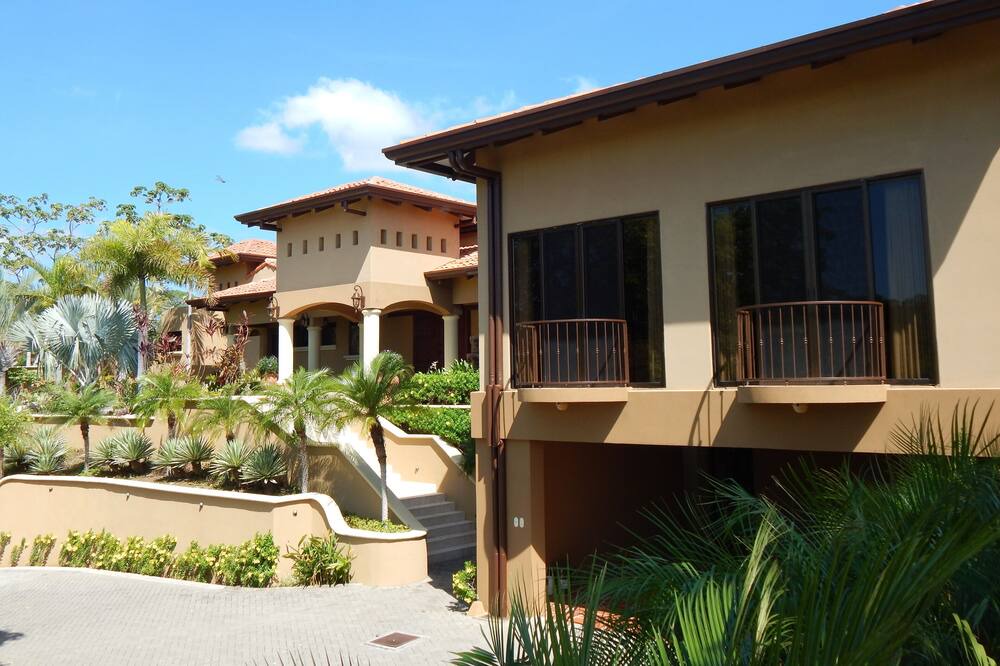 Photo of Outdoor in Coco