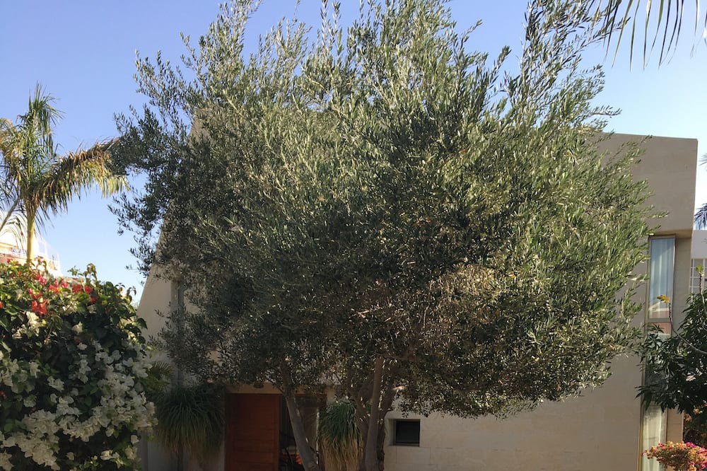 Photo of Outdoor in Eilat