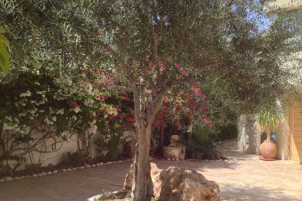 Photo of Outdoor in Eilat