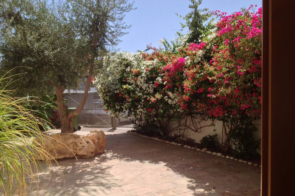 Photo of Outdoor in Eilat